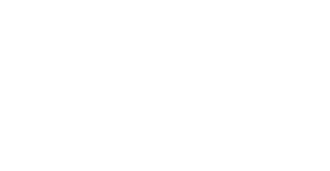 PFI